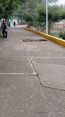 “¡Fuera, shhh!”: Hombre enfrenta a cocodrilo en plena calle y lo ahuyenta (VIDEO)