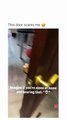 When the Door Sounds Like this - Meme Shorts Gone WILD! 😂🔥 Instant Laughs