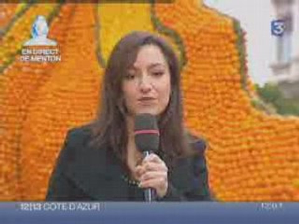 Elections municipales : un bide pour le FN canal parisien