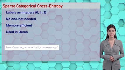 Day 75 Fast: Loss Functions – The Soul of Neural Learning | #DailyAIWizard