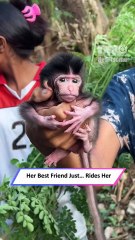 You Won’t Believe How This Monkey Became Her Best Friend!|| Heartsome 💖