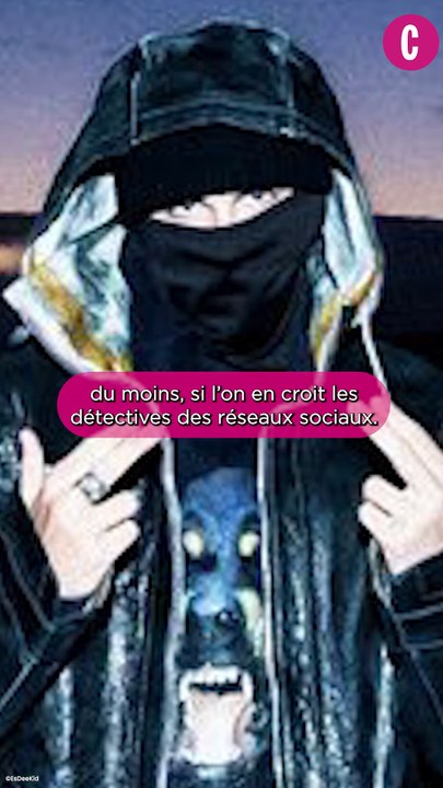 Timothée Chalamet serait-il le rappeur masqué E...