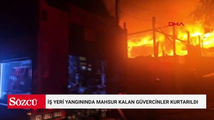 İş yeri yangınında mahsur kalan güvercinler kurtarıldı