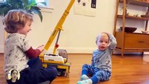 A MUST_ Cute Baby _ Siblings Compilation 2025 - Funny Babies Video __ COOL PEACHY