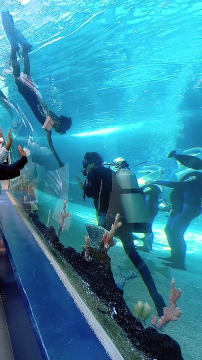 Ocean 🌊 park