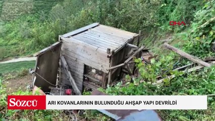 Arı kovanlarının bulunduğu ahşap yapı devrildi: 2 ölü, 1 yaralı