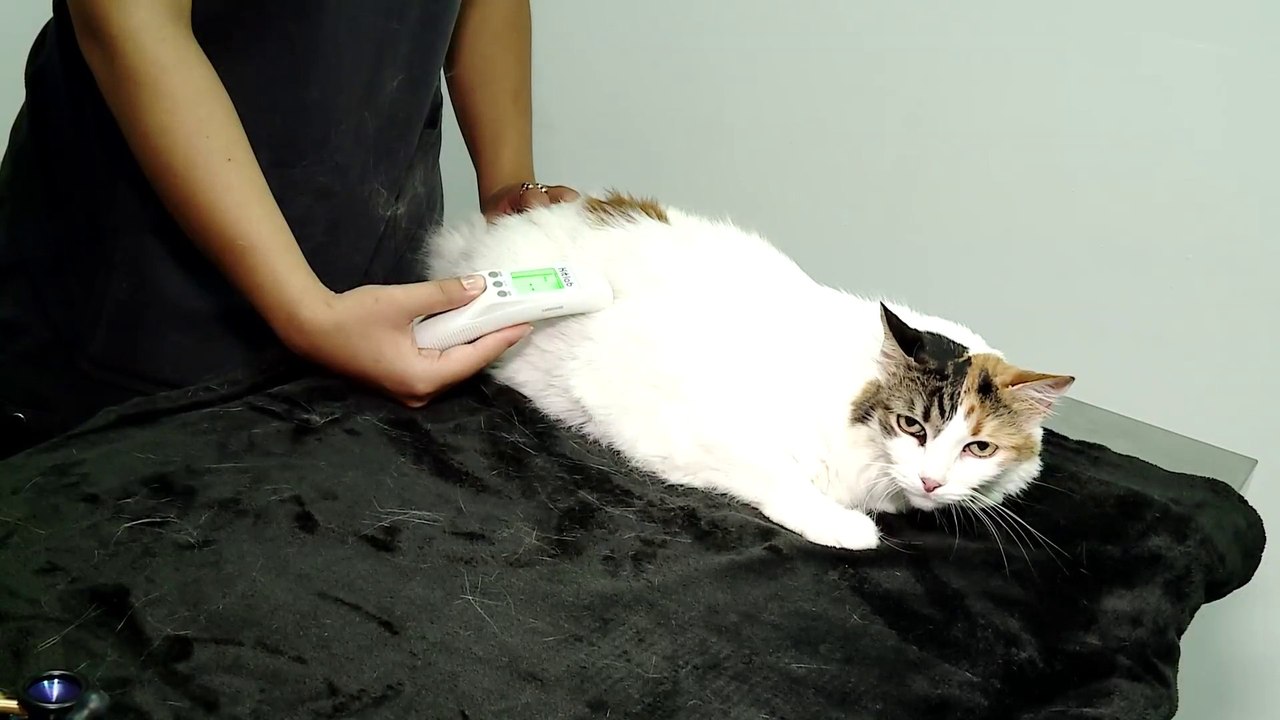 tn7-publireportaje-dos-pinos-191125