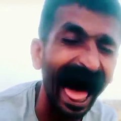 Meow 😼😼 ... hahaha 😂😂 #shorts #laughing #memes(1)