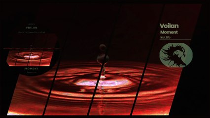 DSR515 Voilan - Moment • Deepsessions Recordings