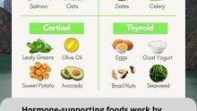 Hormone-Supporting Food Categories