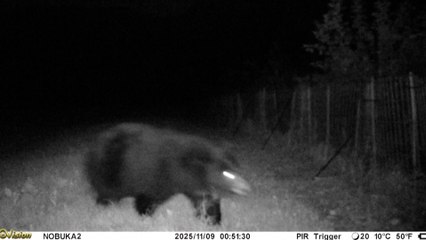 Así funciona el dron que ladra y tira petardos para evitar los ataques de osos en Japón