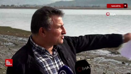 Sapanca Gölü'nde endişe yaratan kabarcıklar görüntülendi