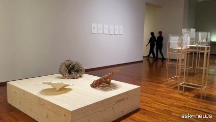 La fragilità che non si rompe, Elisabetta Di Maggio alla GAM Torino