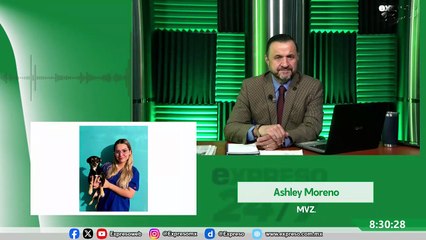 Frío en Sonora: cuidados clave para perros y gatos