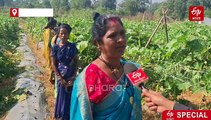 सक्सेस स्टोरी: बस्तर की महिला किसान ने प्रगतिशील खेती से बदली पहचान, दूसरों के लिए बनी मिसाल
