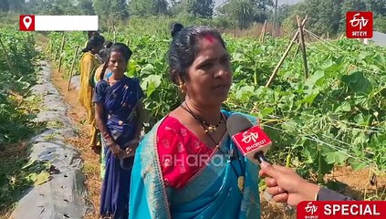 सक्सेस स्टोरी: बस्तर की महिला किसान ने प्रगतिशील खेती से बदली पहचान, दूसरों के लिए बनी मिसाल