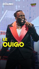 Quand on prend un Ouigo, il faut toujours arriver 30 minutes avant le départ… Pas vrai, Dolino ? 😅