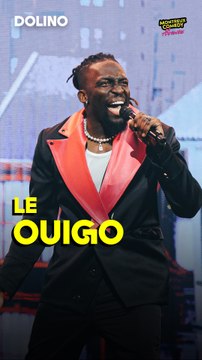 Quand on prend un Ouigo, il faut toujours arriver 30 minutes avant le départ… Pas vrai, Dolino ? 😅