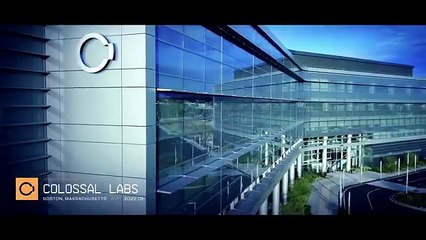 Desixtinción del Mamut