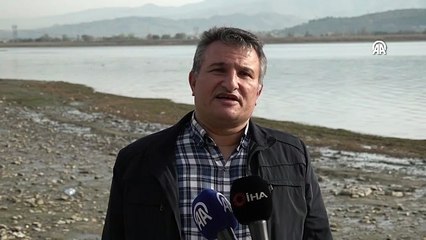 Sapanca Gölü'nde oluşan kabarcıklar su altından ve havadan görüntülendi