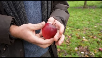 Belgio, agricoltore porta TotalEnergies in tribunale per il clima