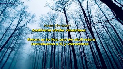 Kirvat Elokim by Shmulik Sukkot