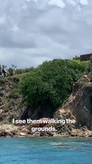 Epstein Island flooded with FBI agents as sailboat crew arrives