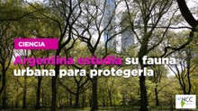 Argentina estudia su fauna urbana para protegerla