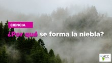 ¿Por qué se forma la niebla?