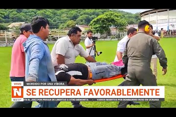 Mordido por serpiente se recupera favorablemente