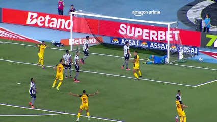 Resumo de Jogo: Leão e Botafogo Disputam Acesa Partida na Série B de 2026