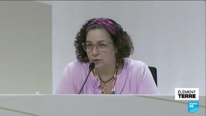 COP30 : l'enjeu du méthane, un levier rapide pour enrayer la crise climatique