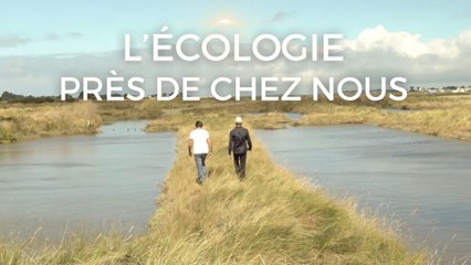 L'écologie près de chez nous