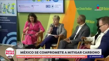 México promete mitigar 400 millones de toneladas de carbono | DPC con Paola Rojas