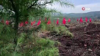 Bursa’da şehitler anısına fidan dikildi