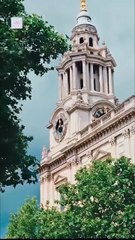 🌻Bound By Honor Hot 🌻