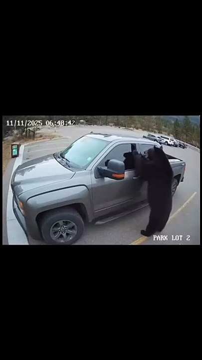 Visitors at Rocky Mountain National...