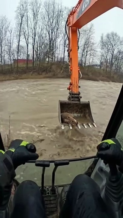 Construction Worker Uses Excavator to...