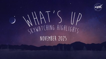 Leonid Meteor Shower, Saturn's Rings Disappear and More In Nov. 2025 Skywatching