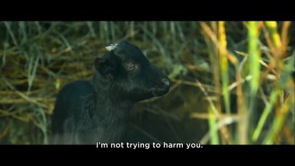 Tell Me What You Saw - Ep.01 ENGSUB - Korean Thriller Suspense Series