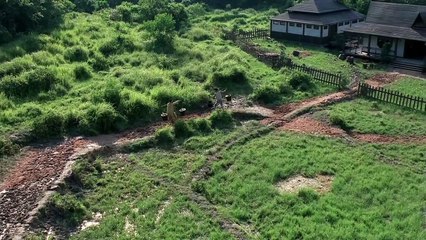 Phim Ma Lâm Chánh Anh Hay: THIÊN SỨ BẮT MA - Cương Thi Thúc Thúc (USLT)