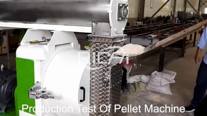 Bentonite Cat Litter Pellets