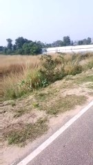 Looking back 🔙 realize me time never stop for anyone...