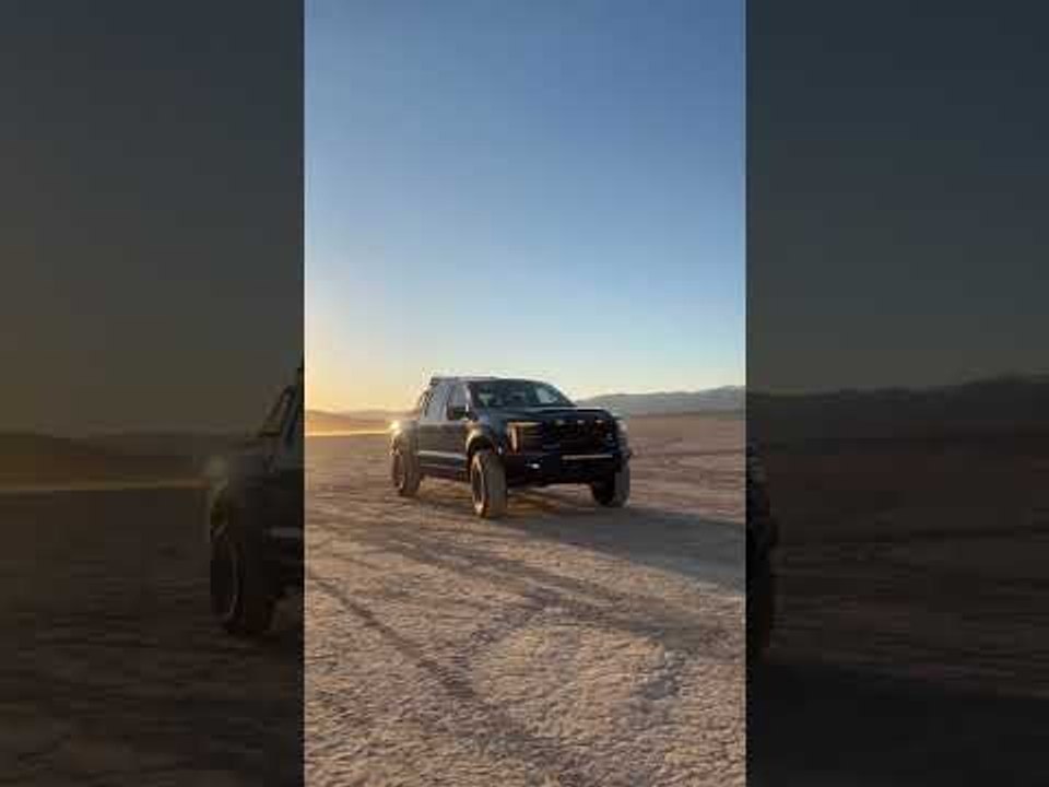 2025 Shelby Raptor und Shelby Raptor R auf Basis Ford F-150 Raptor