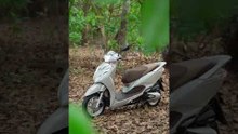 2024 Honda Lead 125: Dein smarter City-Flitzer?