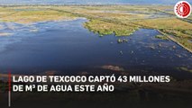 Lago de Texcoco logra captación histórica de agua, pero enfrenta repunte de vandalismo