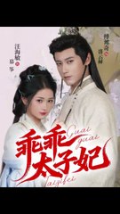 乖乖太子妃31-64（64集）傅邦奇＆汪海敏