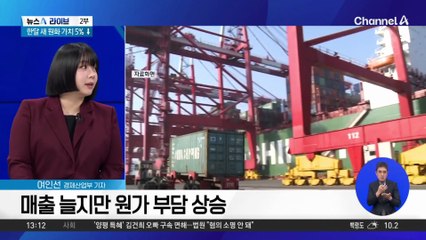 [경제를 부탁해]환율 급격하게 오르는 이유는?