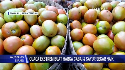 Akibat Cuaca Ekstrem, Harga Cabai dan Sayur Segar Naik | KOMPAS SIANG