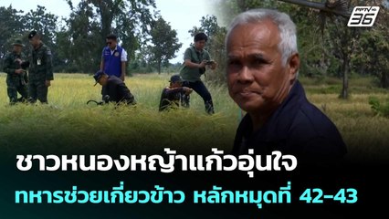 ชาวหนองหญ้าแก้วอุ่นใจ ทหารช่วยเกี่ยวข้าว หลักหมุดที่ 42-43 | เที่ยงทันข่าว |20 พ.ย. 68